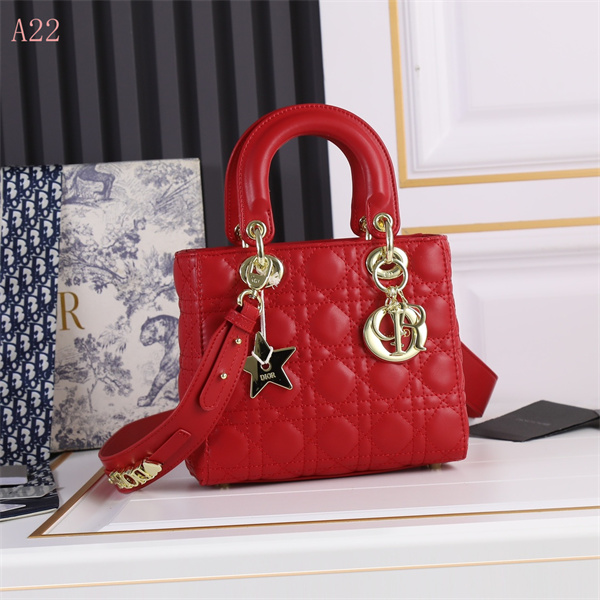 Dior Bags AAA 096